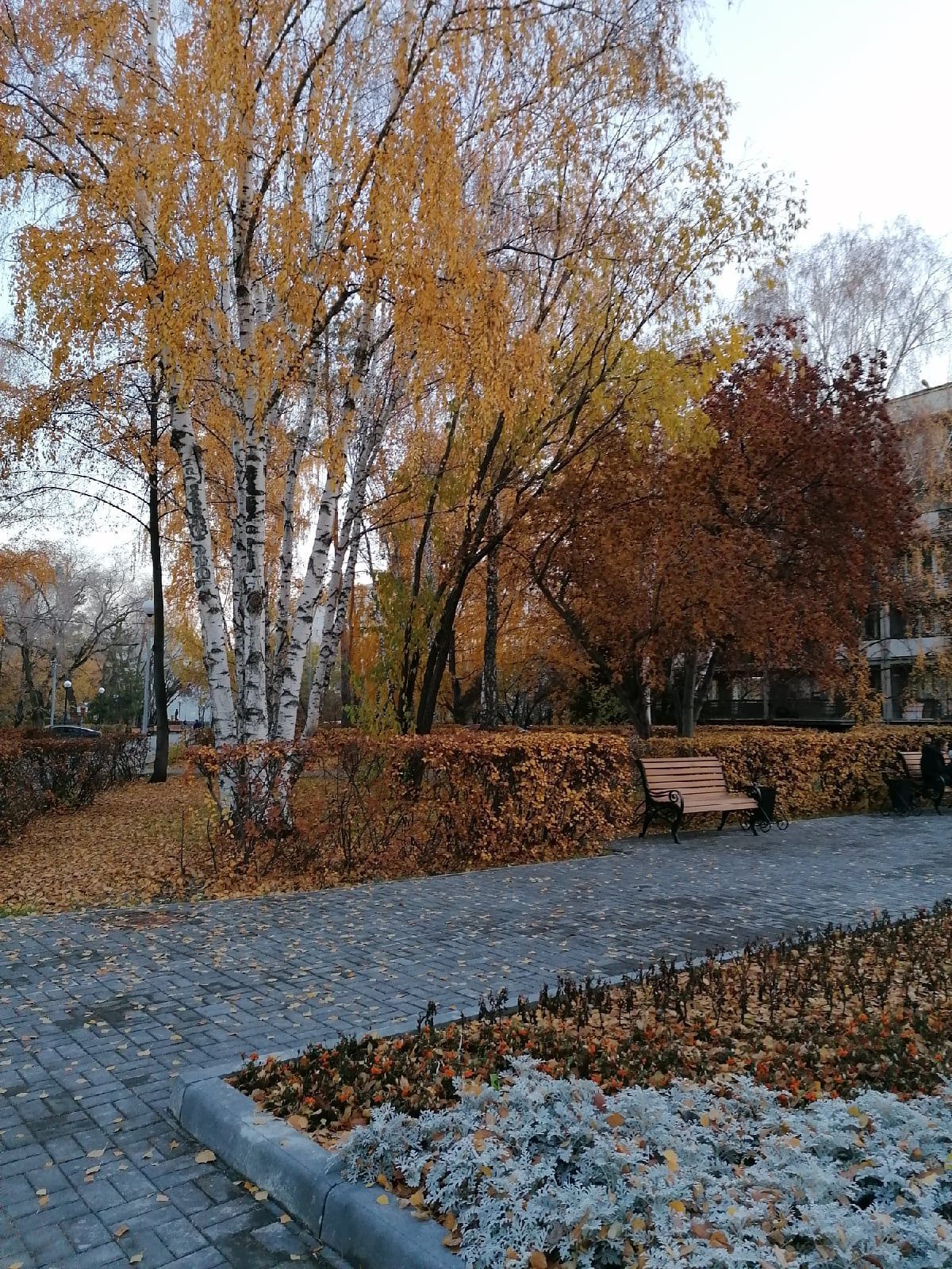 Тишина