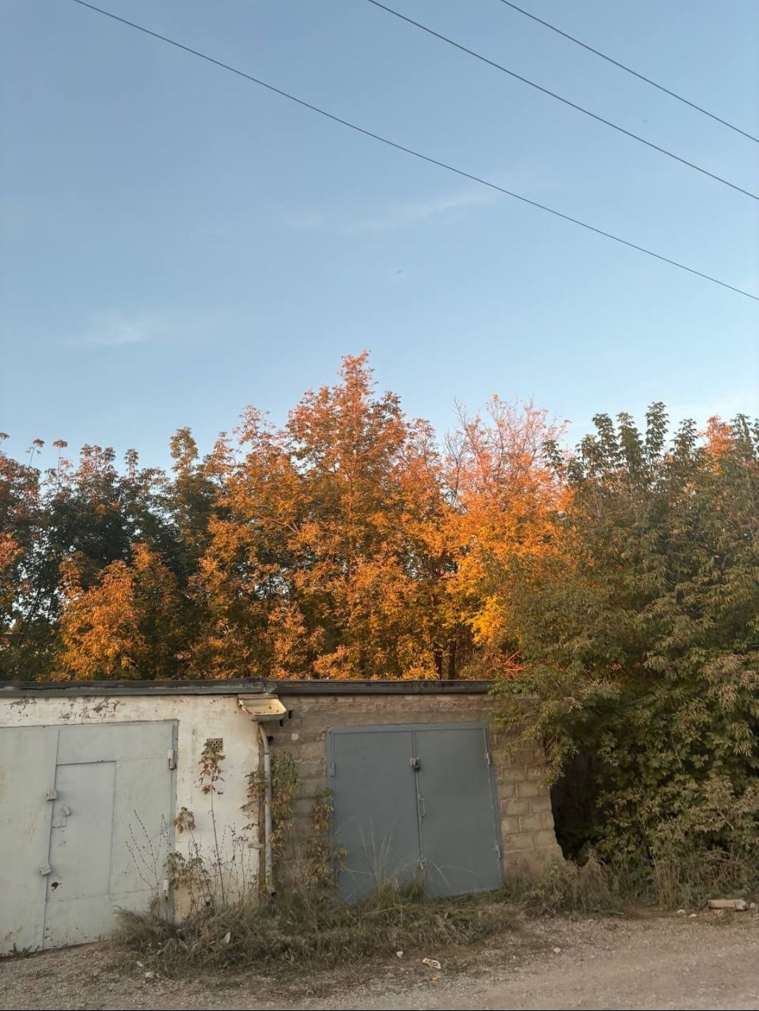 розовый закат