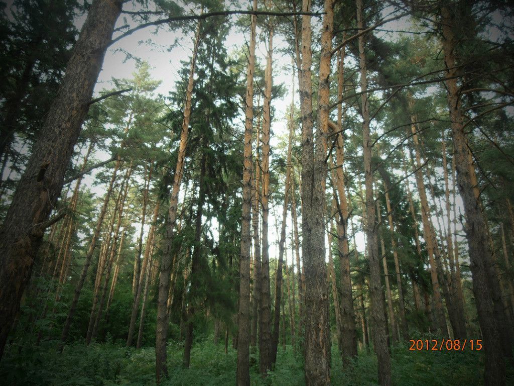 Пермский край