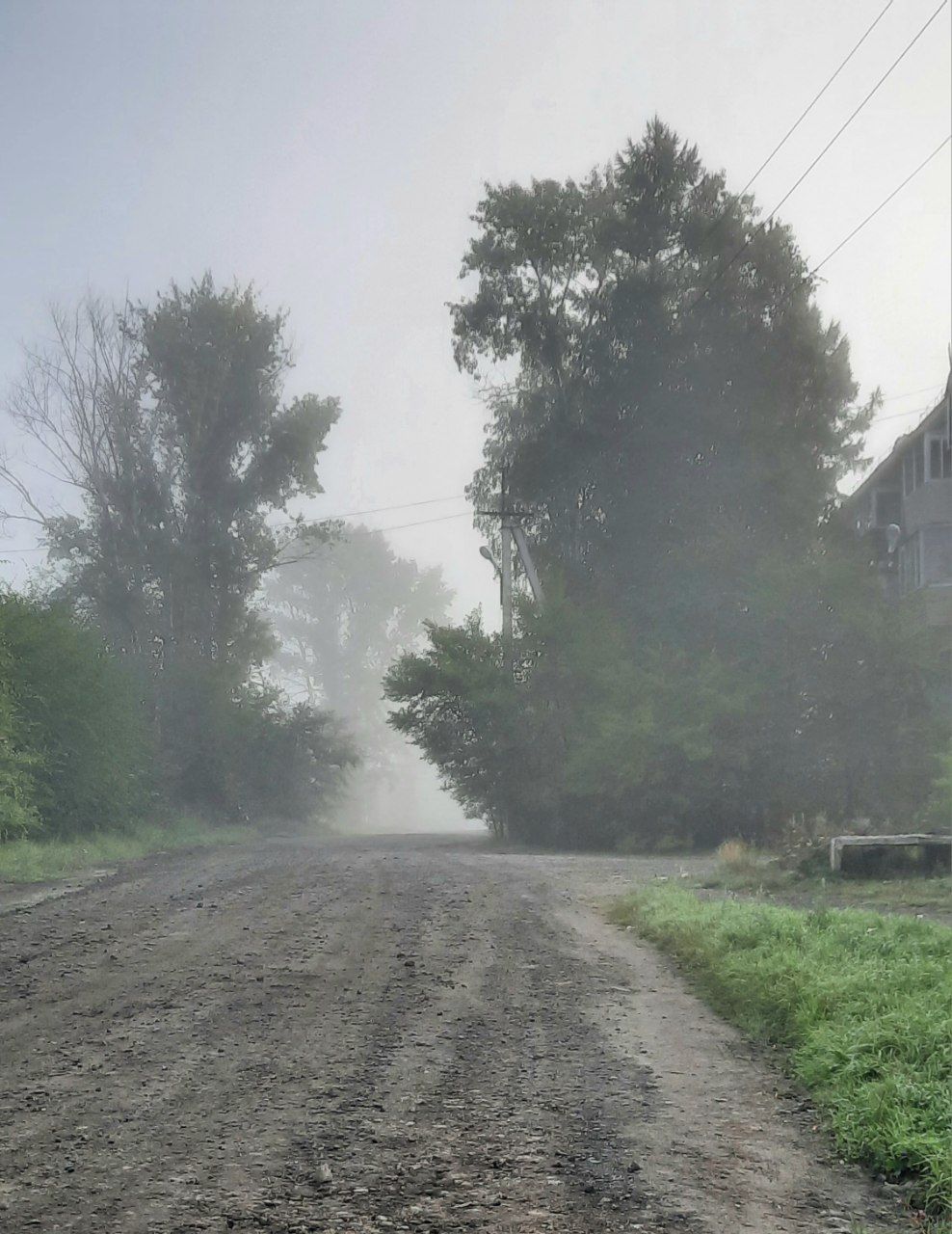 Туманное утро.