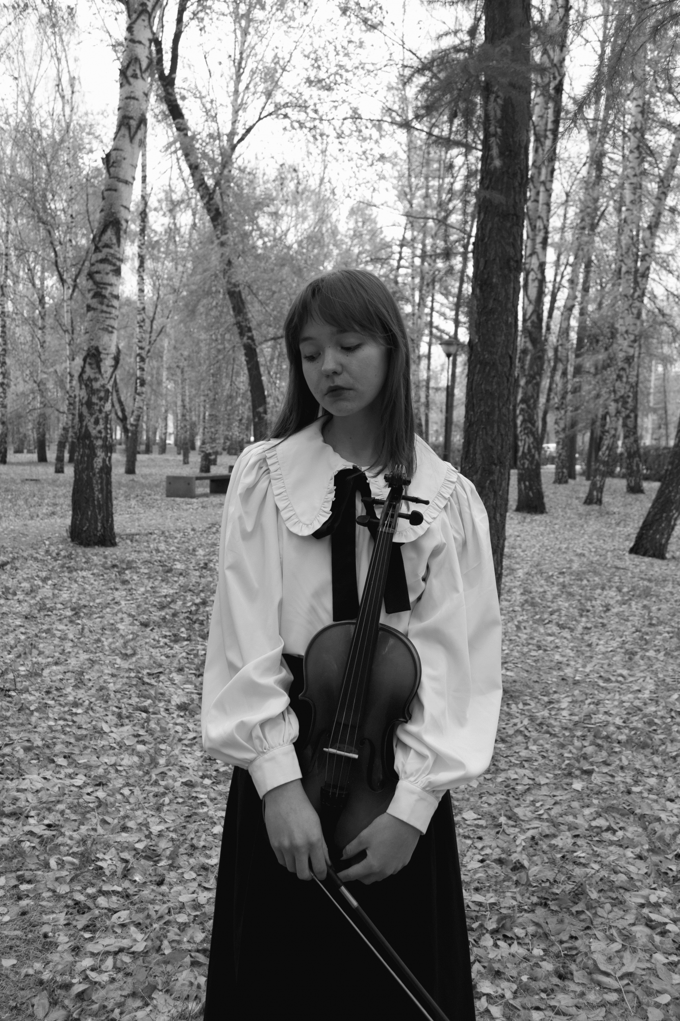 Эхо скрипки в осеннем лесу