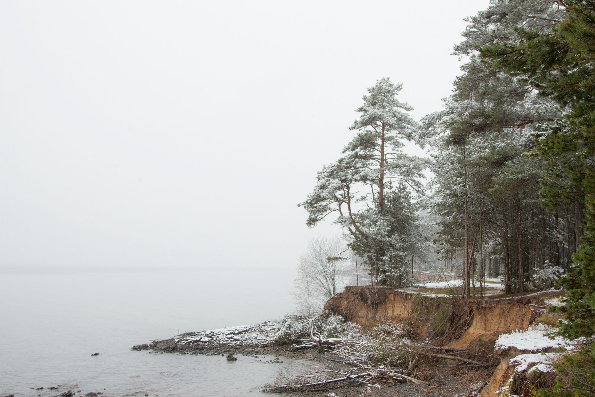 Первый снег на Рыбинском водохранилище