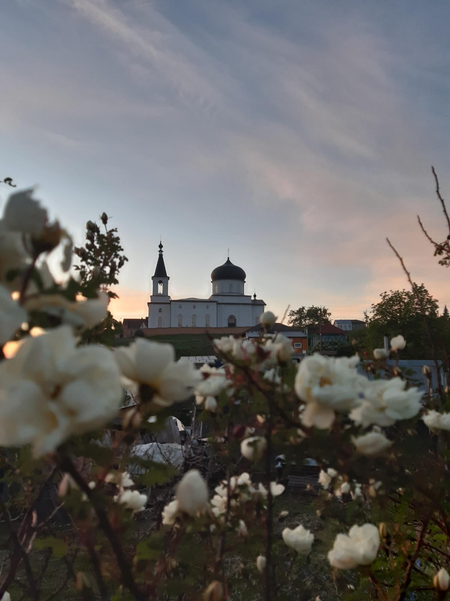 Весенняя открытка