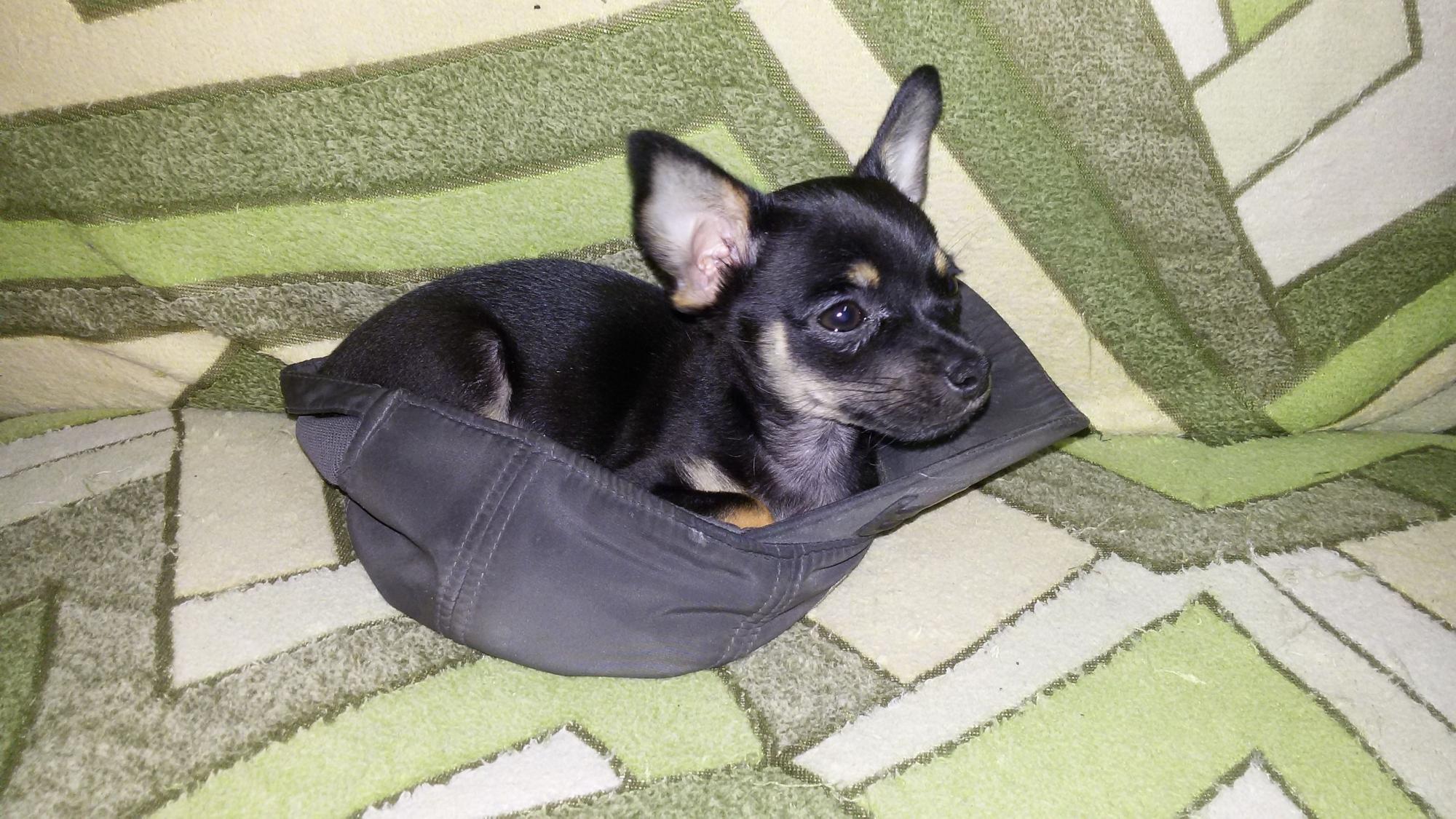Мужичок с ноготок