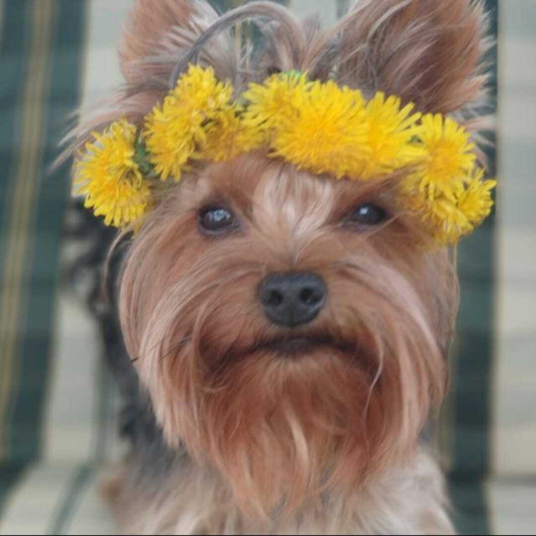 Мой Жорик