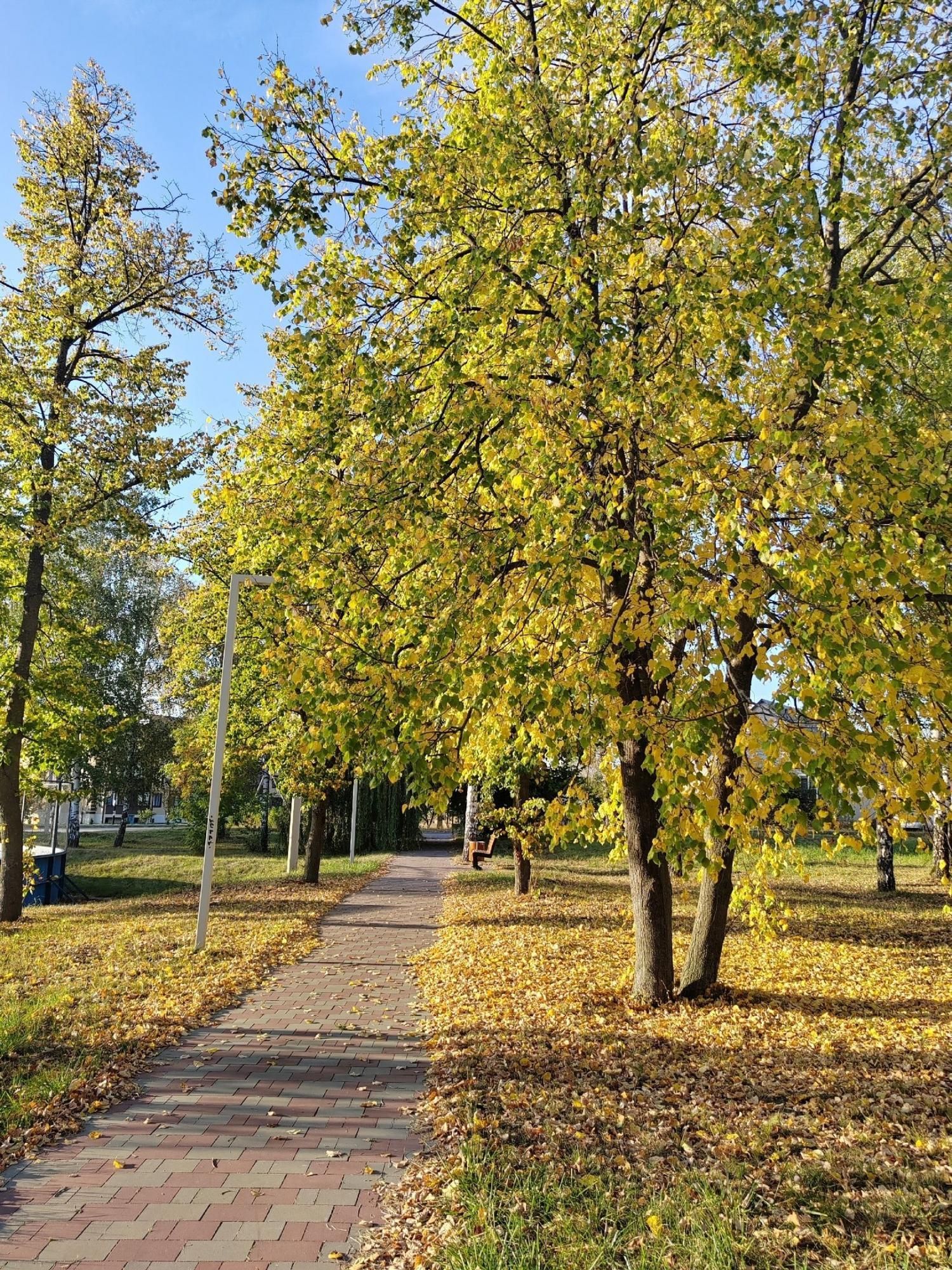 Золотая осень