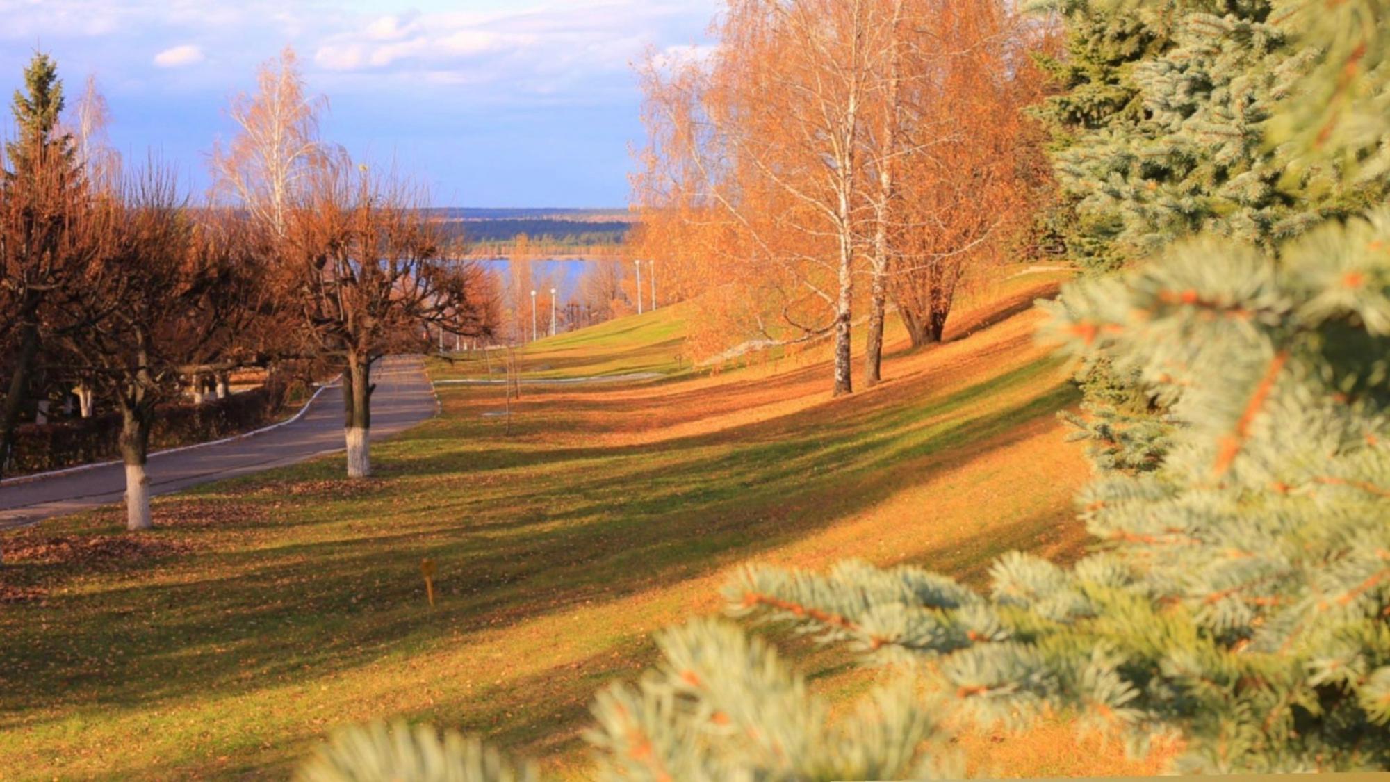 Городской парк