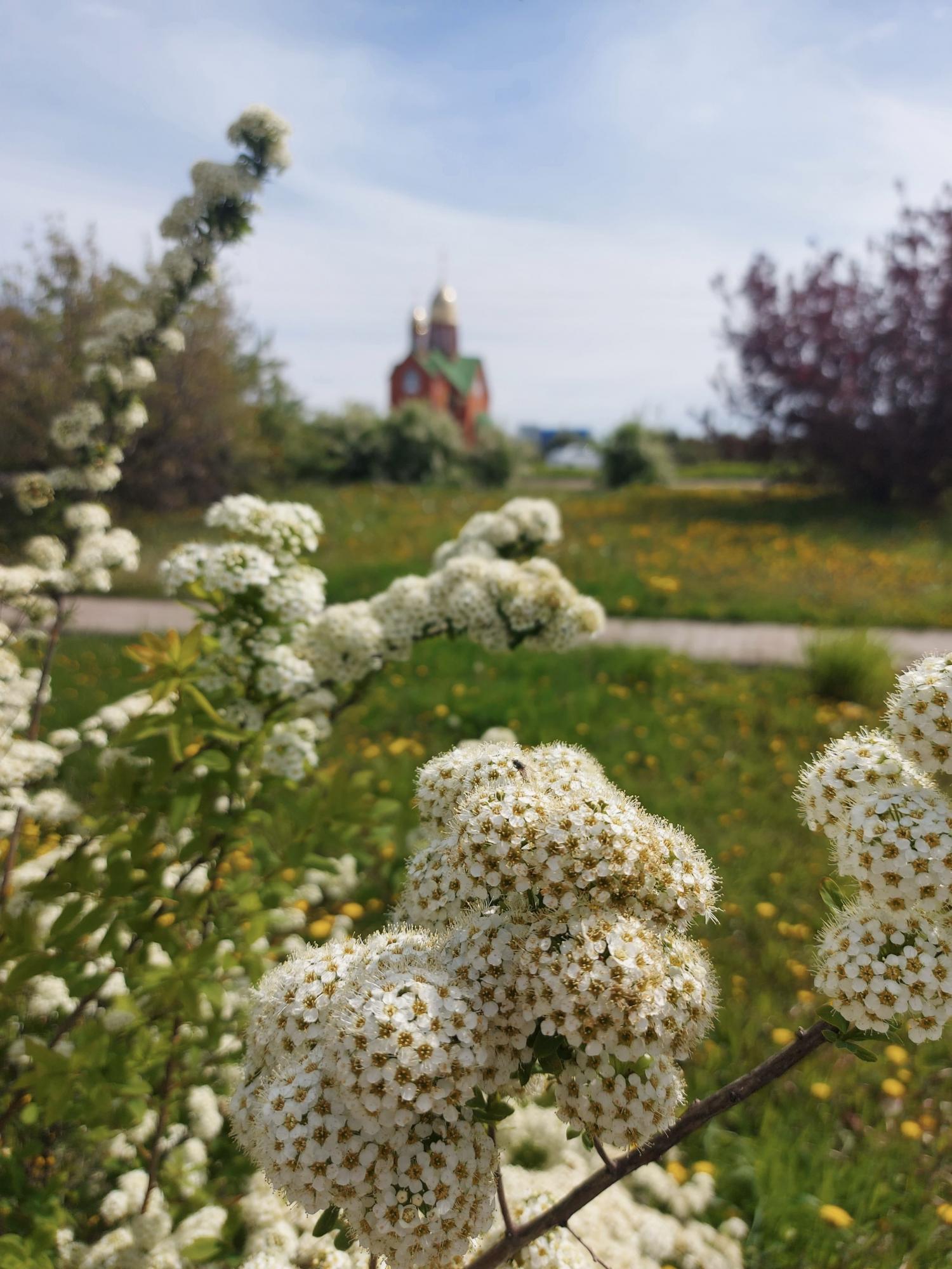 Спокойствие Души 