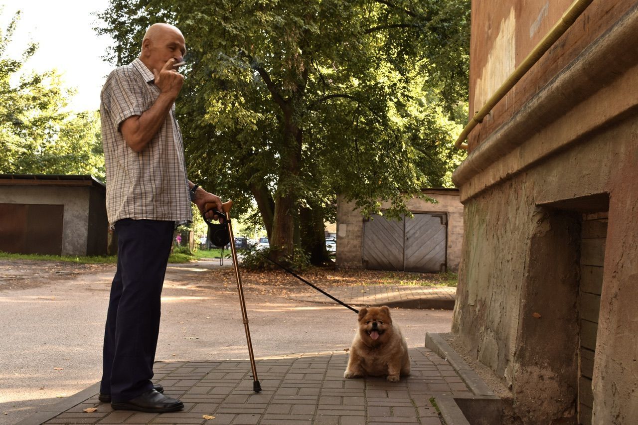 Жители двора