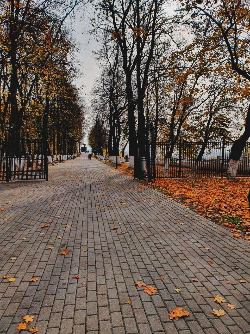Осенний Владимир 