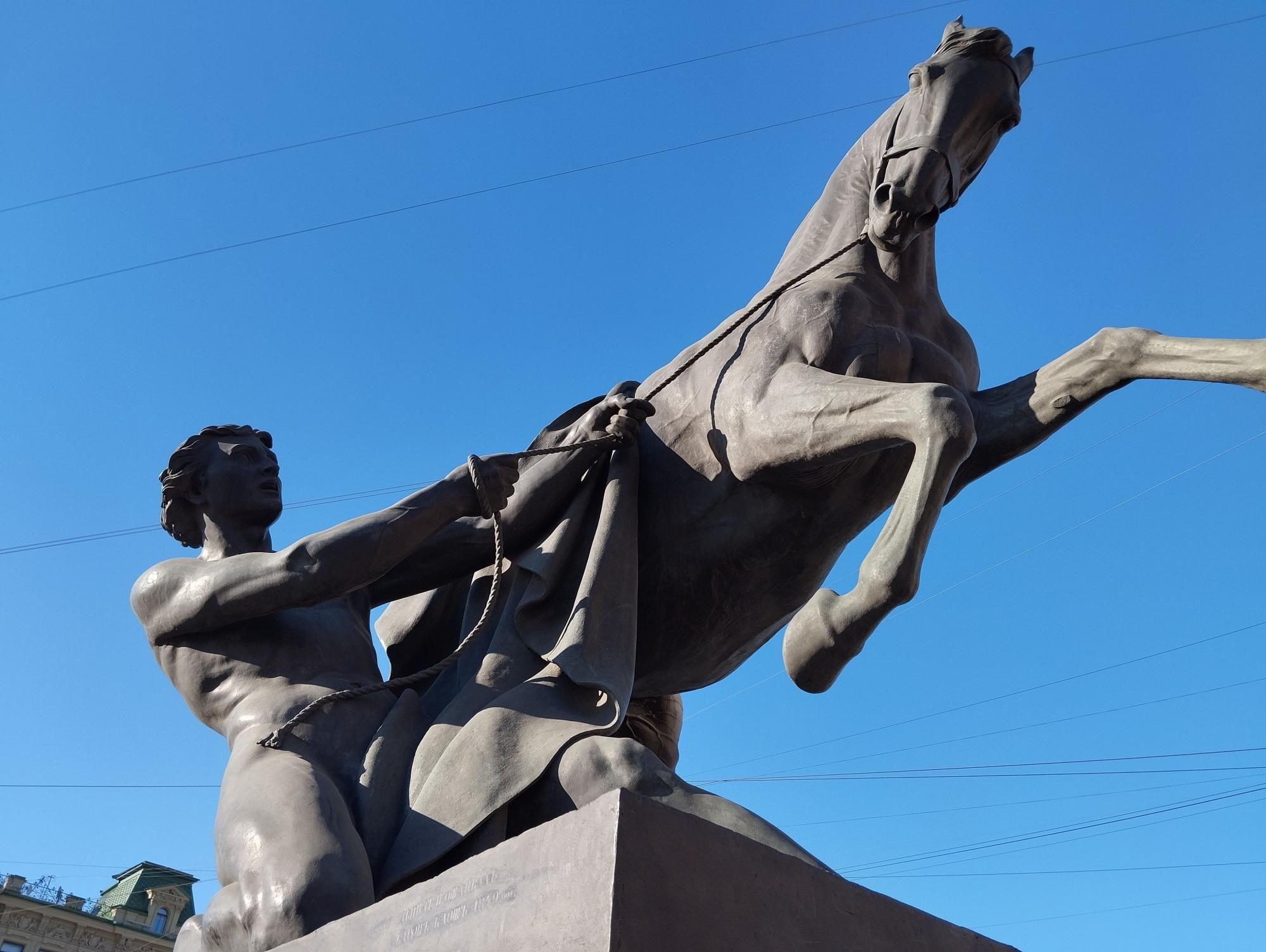 укрощение коня