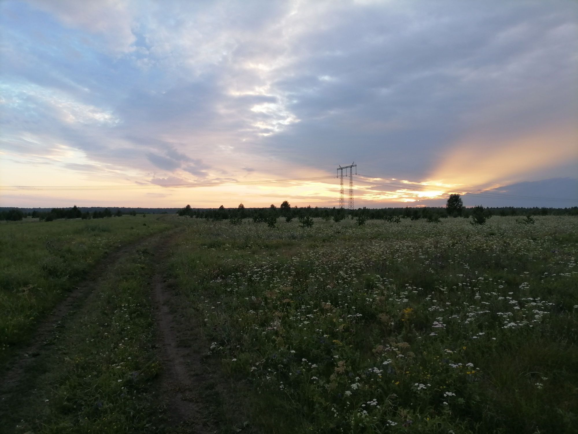 Дорога в закат