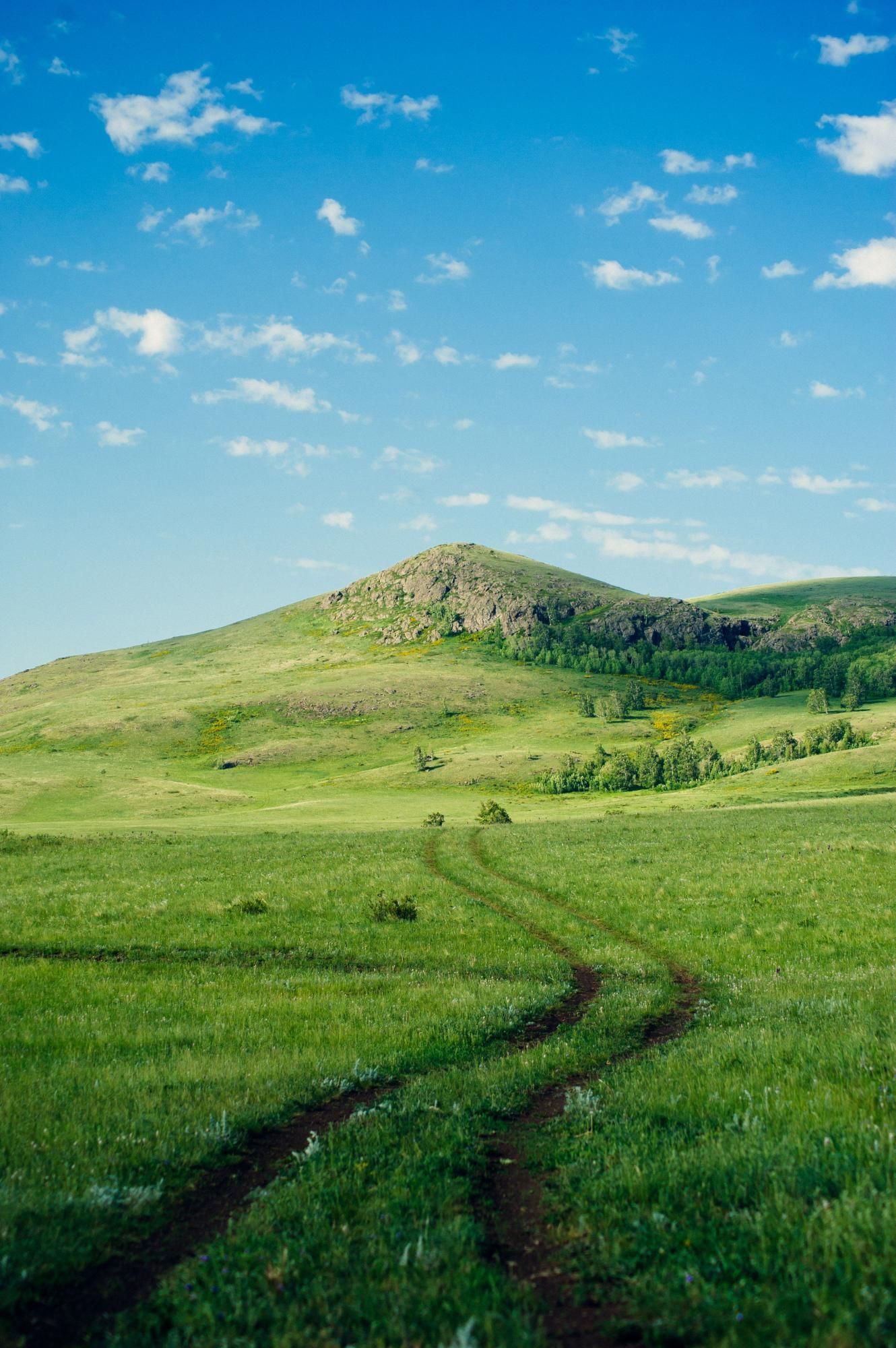 Родные просторы