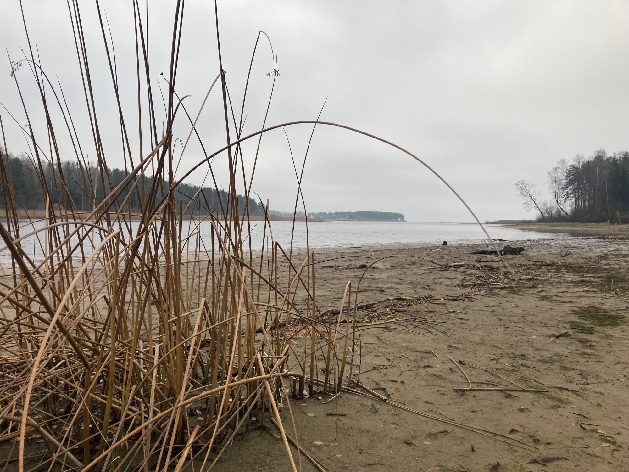 Вода пошла на убыль 
