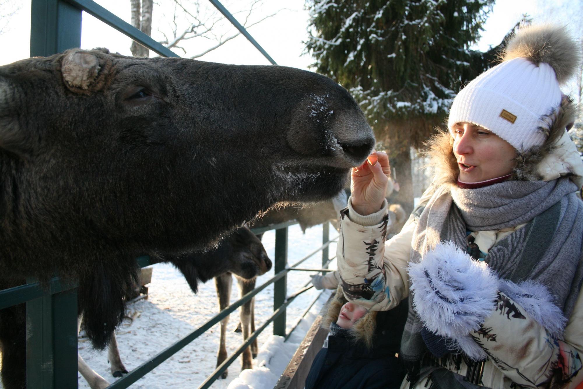 Кушай, милый