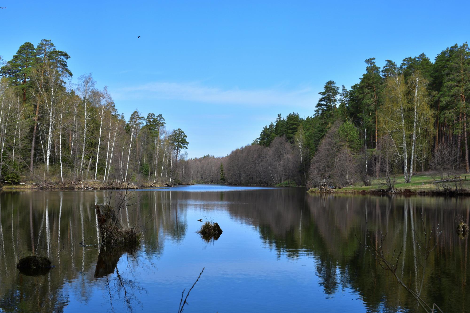 Весенняя гармония