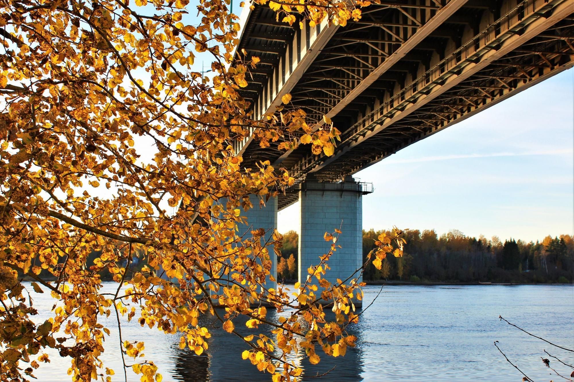Ладожский мост 