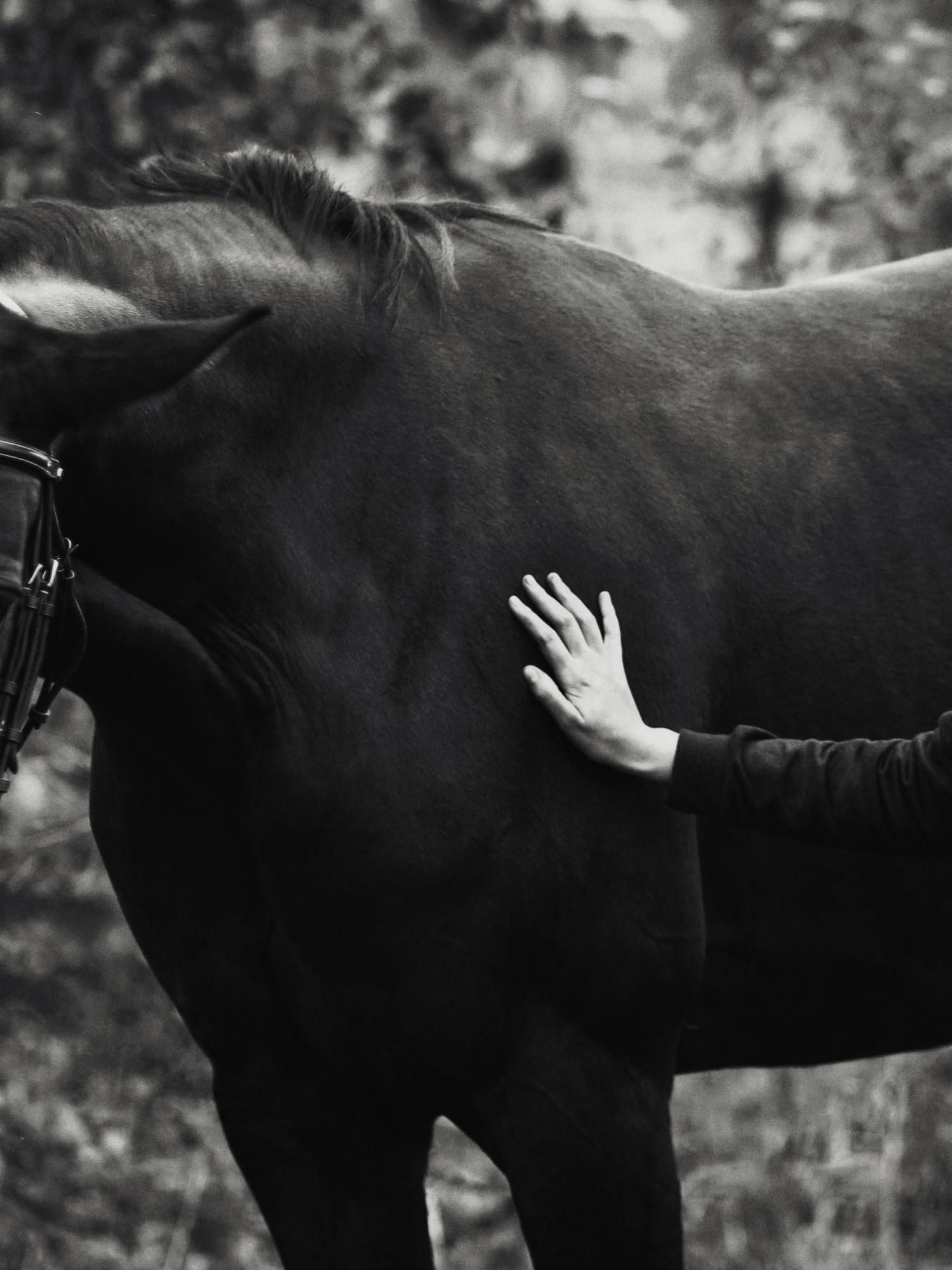 Она знала, что лошади делают все лучше