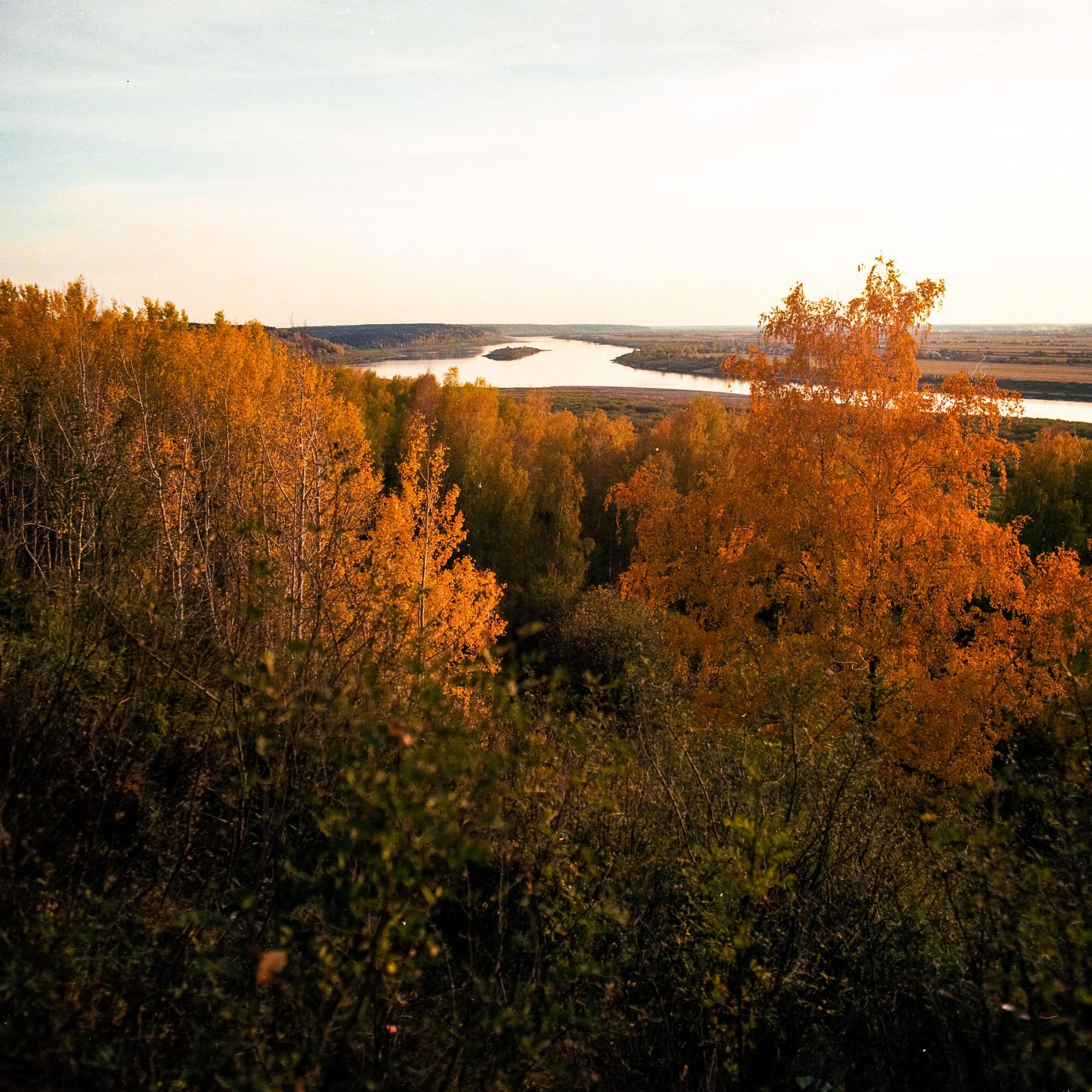 Краски осени