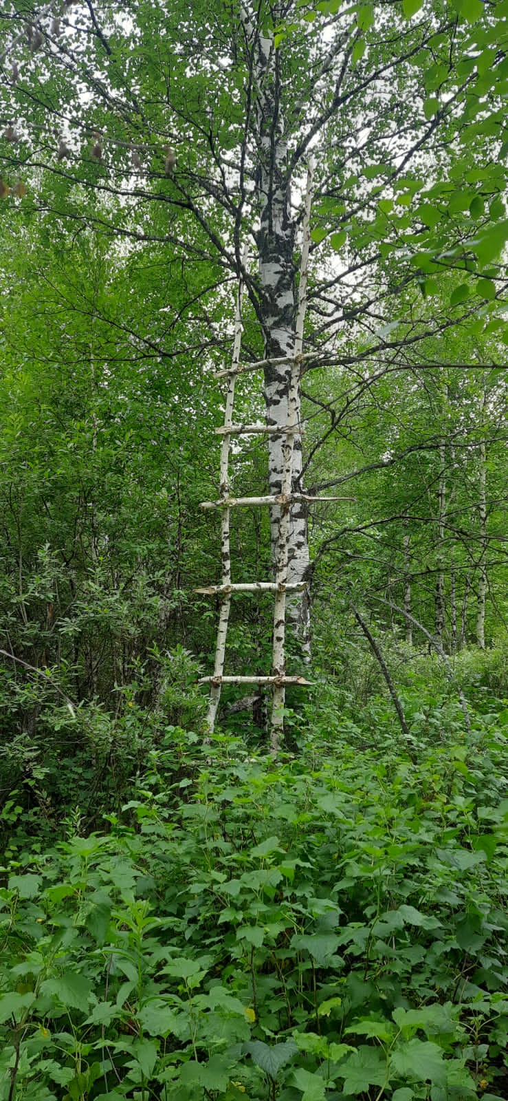 Шарыповский район — уникальная территория