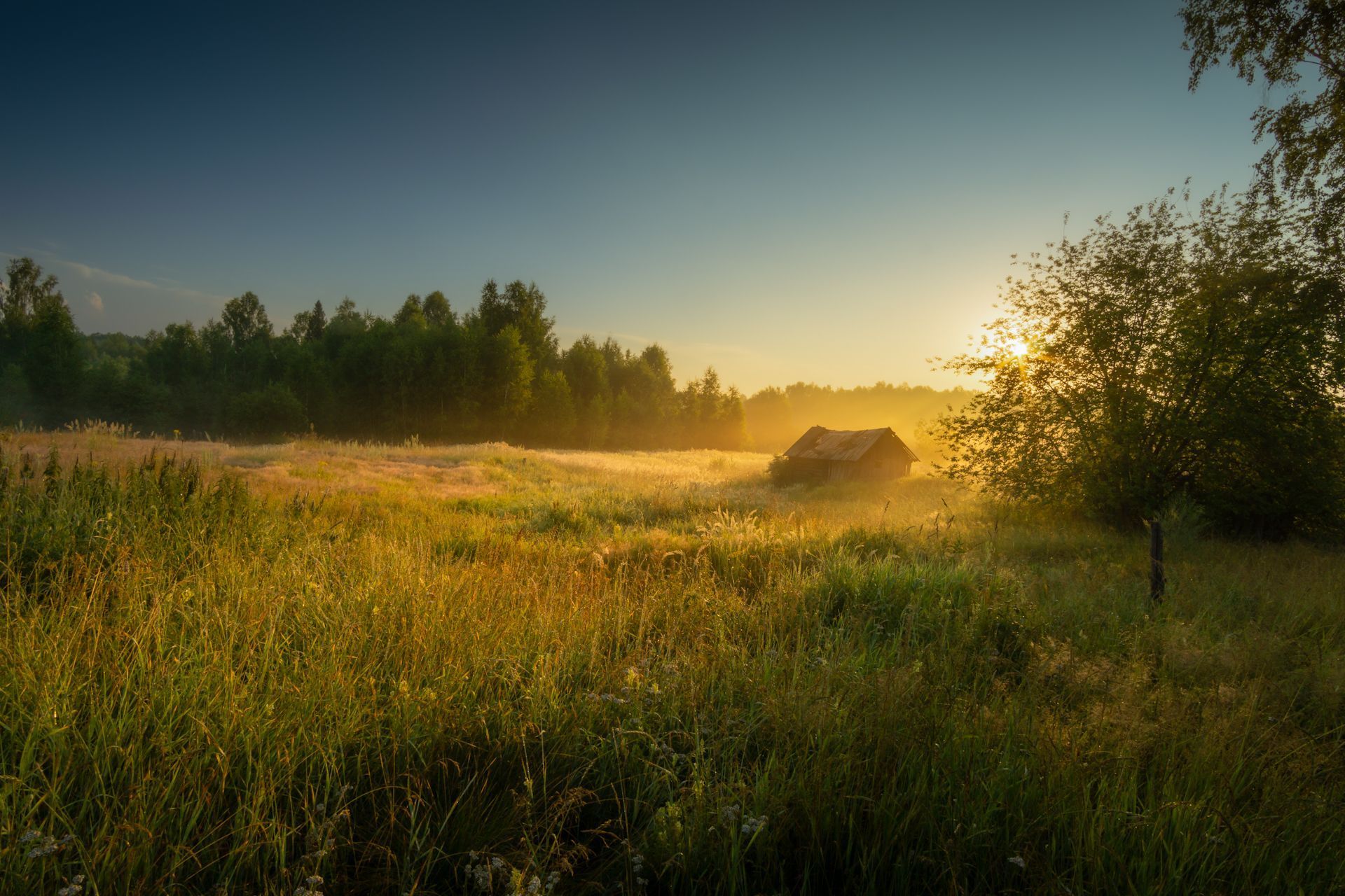 Жаркое утро