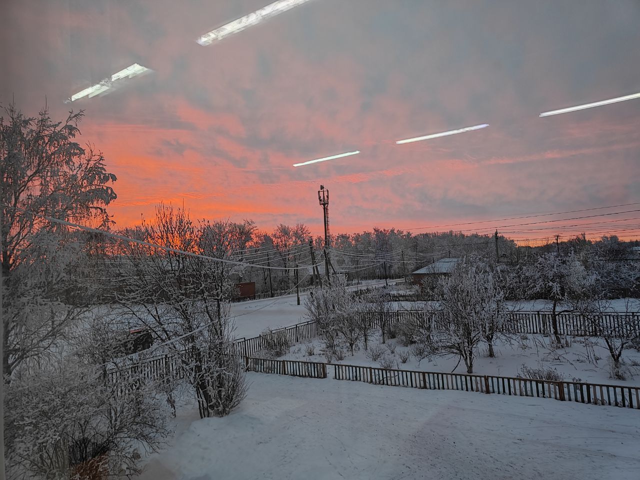 Розовое на белом