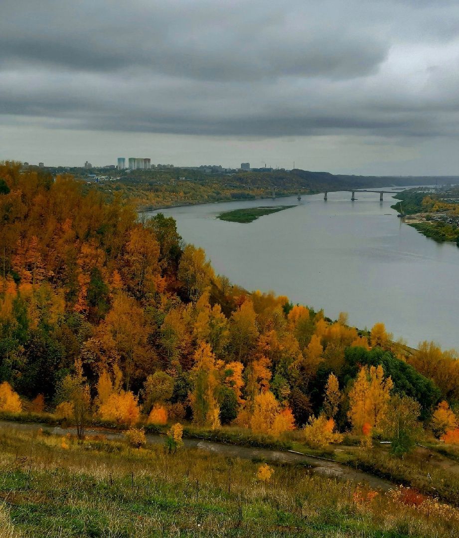 Осень золотая 