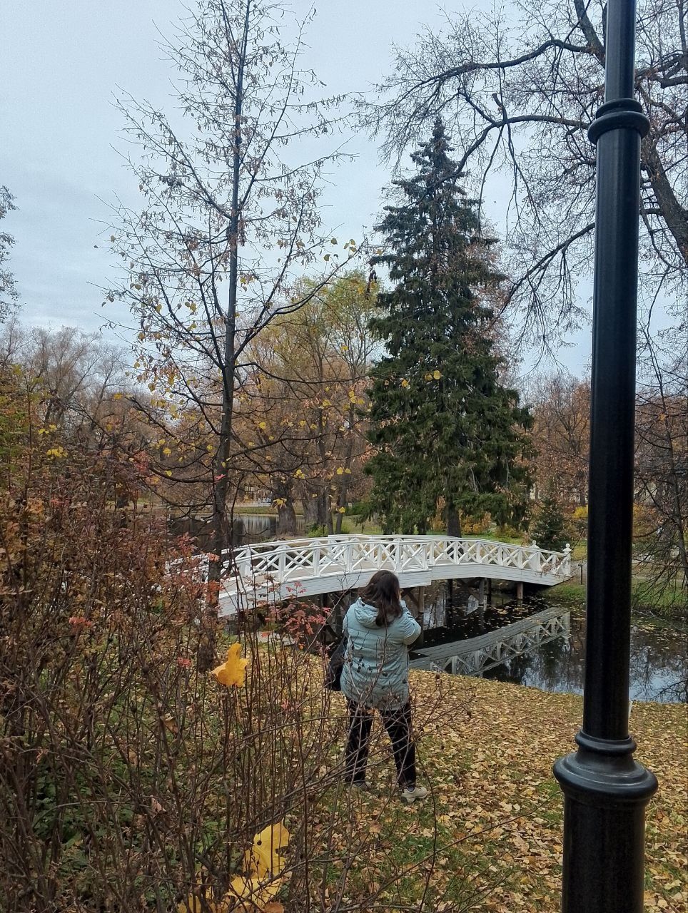 Горбатый мостик 