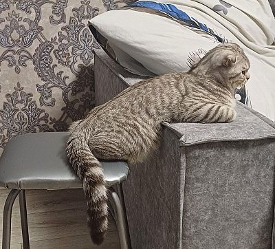 Мне в этой жизни абсолютно всё понятно!