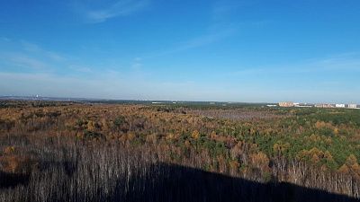 Осенняя сказка Академгородок
