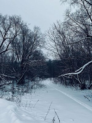 Тропа домой