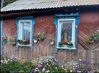 Во дворе у бабушки