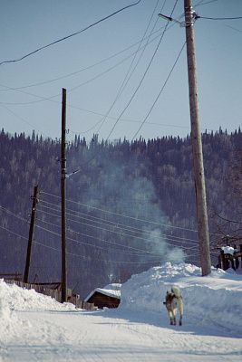Местный дворик