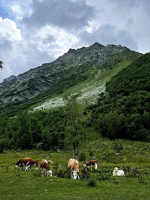 Путешествие в мир Архыза