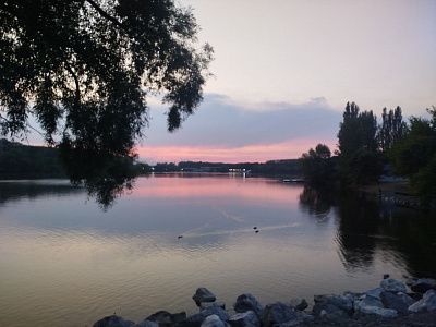 Малиновые уточки 