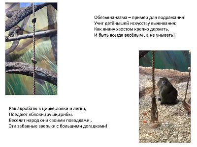 Мир за ограждением