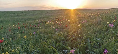 Мой родной край. 