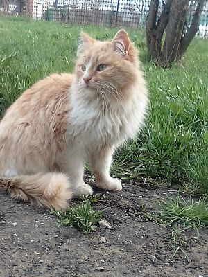 Солнышко