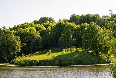 Летний сельский пейзаж