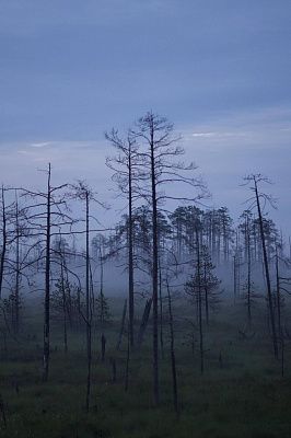 Красота природы ХМАО