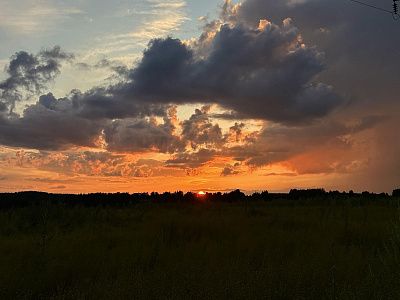 Родной закат