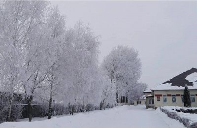 Новогодняя сказка