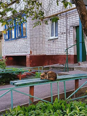 Хранитель воспоминаний
