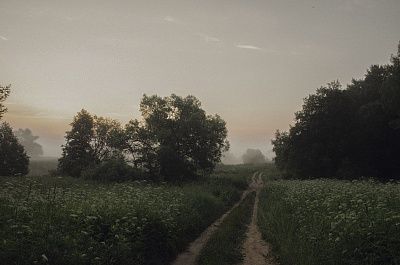 Летнее утро