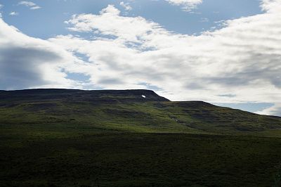 Крошечные остатки прошлого снега