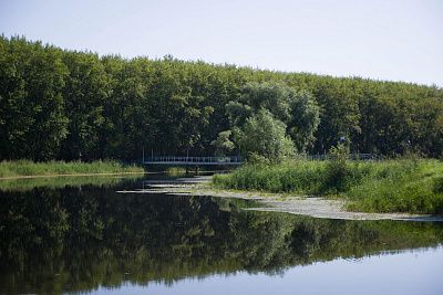 Мост через приток