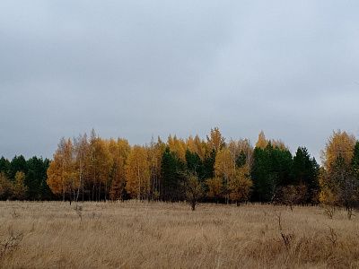 "Осенний пейзаж"