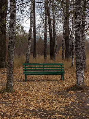 Октябрь в парке 