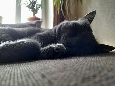 Моя прелесть