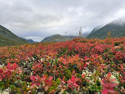 Кольский п-ов, Хибины. Горная долина Кукисвумчорр